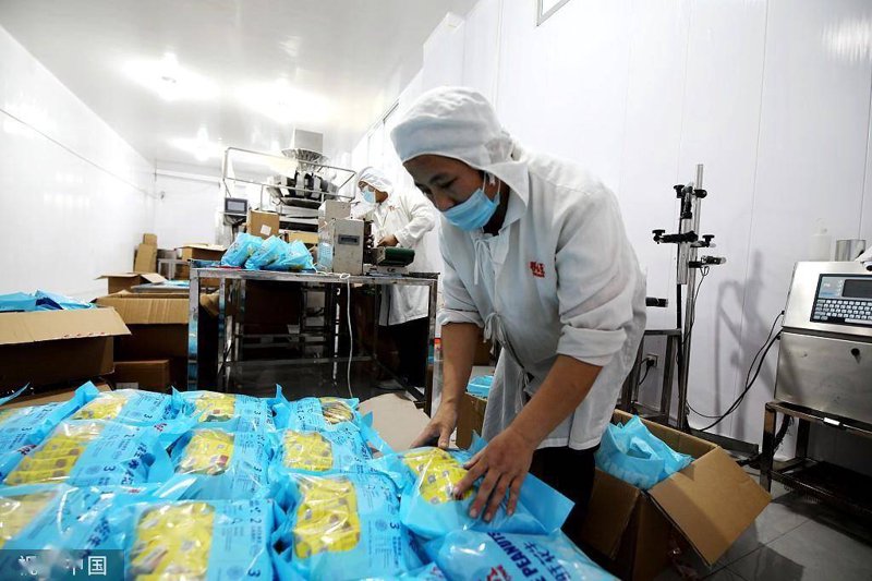 探索食品行业的最新趋势:东泽视角